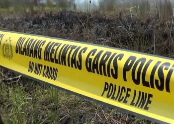 Polisi Selidiki Kasus Terbakarnya Puluhan Hektare Lahan di Petuk Katimpun