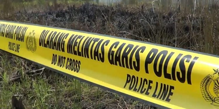 Polisi Selidiki Kasus Terbakarnya Puluhan Hektare Lahan di Petuk Katimpun