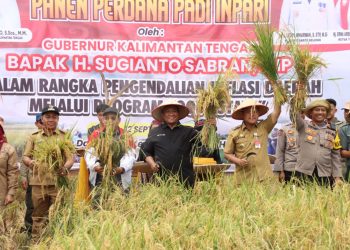 Wagub Kalteng Panen Perdana Padi Inbrida di Desa Damparan Kabupaten Barsel