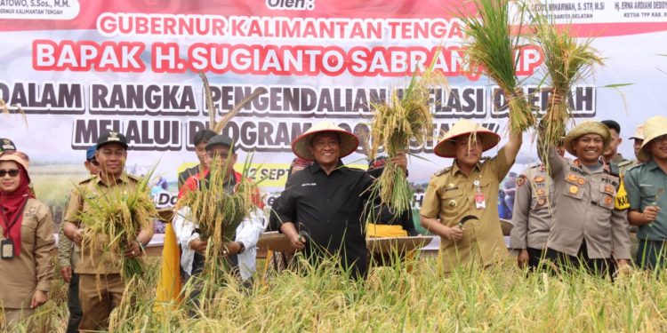 Wagub Kalteng Panen Perdana Padi Inbrida di Desa Damparan Kabupaten Barsel
