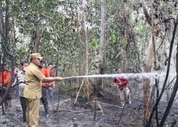 Kabut Asap Mulai Pekat, PJ Bupati Barsel Himbau Masyarakat Gunakan Masker Saat Beraktifitas Diluar Rumah