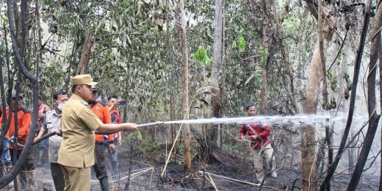 Kabut Asap Mulai Pekat, PJ Bupati Barsel Himbau Masyarakat Gunakan Masker Saat Beraktifitas Diluar Rumah