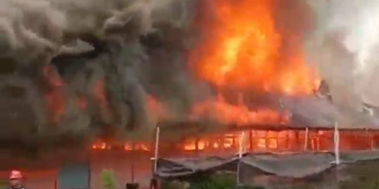 Si Jago Merah Hanguskan SMPN-4 Kapuas dan 5 Rumah Warga