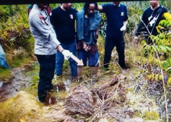 Pelaku Pembunuhan Pasutri di Timpah Ditangkap