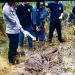 Pelaku Pembunuhan Pasutri di Timpah Ditangkap