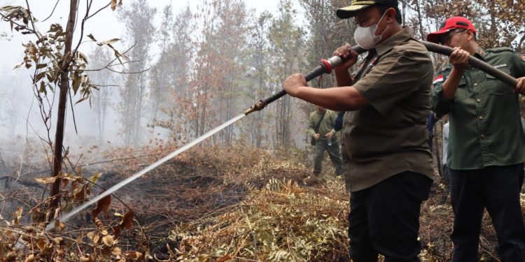 Wagub Kalteng Dampingi Wamen LHK Tinjau Karhutla di Tumbang Nusa-Pulang Pisau