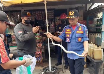 Geger, Ular Piton Masuk ke Dalam Toko Makan Tikus