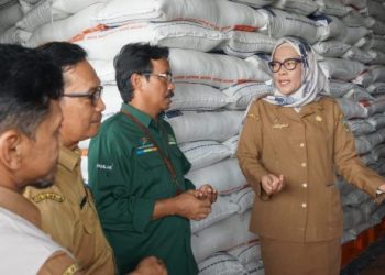 Respon Kenaikan Harga Beras, Pj Wali Kota Tinjau Gudang Bulog