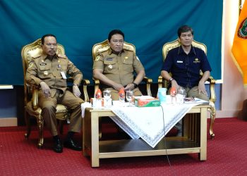 Wagub Kalteng Hadiri Penyerahan DIPA Tahun 2024 Secara Virtual