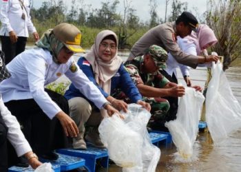 Pemko Palangka Raya Tebar 70 Ribu Benih Ikan Lokal di Danau Hanjalutung