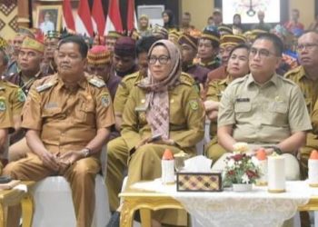 APDESI Berperan Memajukan Pembangunan yang Merata