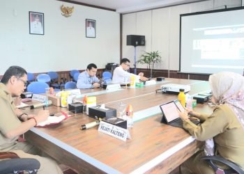 Pemprov Kalteng Ikuti Rakor Inflasi Bersama Kemendagri