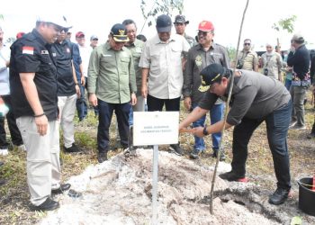 Wagub dan Sekda Kalteng Dampingi Wamen LHK RI Tanam Pohon di Pulang Pisau
