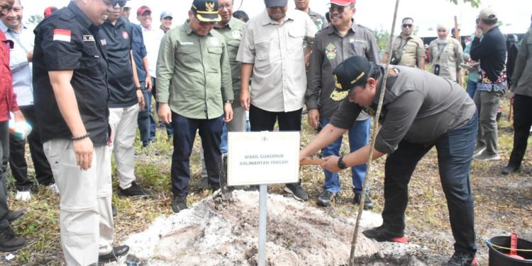 Wagub dan Sekda Kalteng Dampingi Wamen LHK RI Tanam Pohon di Pulang Pisau