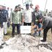 Wagub dan Sekda Kalteng Dampingi Wamen LHK RI Tanam Pohon di Pulang Pisau
