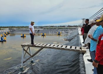 Gubernur Kalteng Sambangi Tahap Uji Konstruksi Shrimp Estate Kalteng Berkah