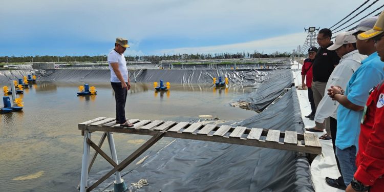 Gubernur Kalteng Sambangi Tahap Uji Konstruksi Shrimp Estate Kalteng Berkah