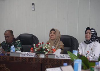 Ikuti Rakor Pengendalian Inflasi, Sri Widanarni: Inflasi Kalteng Terkendali