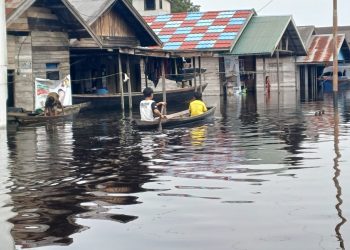 Ratusan Rumah Warga di Barsel Terendam Banjir