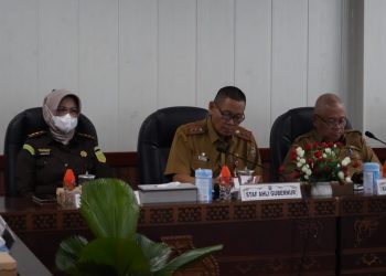 Pemprov Kalteng Ikuti Rakor Inflasi Bersama Kemendagri