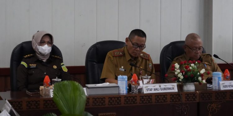 Pemprov Kalteng Ikuti Rakor Inflasi Bersama Kemendagri