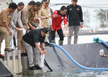 Wagub Kalteng Tebar Perdana Benur Udang Vaname di Kawasan Shrimp Estate BERKAH