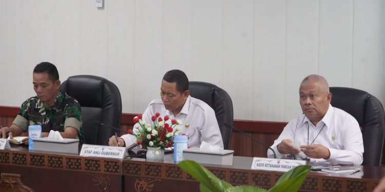 Ikuti Rakor bersama Kemendagri, Sahli Gubernur Yuas Elko: Inflasi Kalteng Masuk 10 Provinsi Terendah