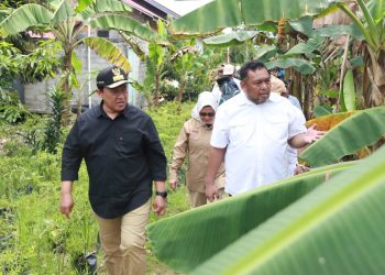 Wagub Kalteng Harapkan Program Upsus Optimalisasi Lahan Rawa Tingkatkan Kesejahteraan Petani di Kalteng