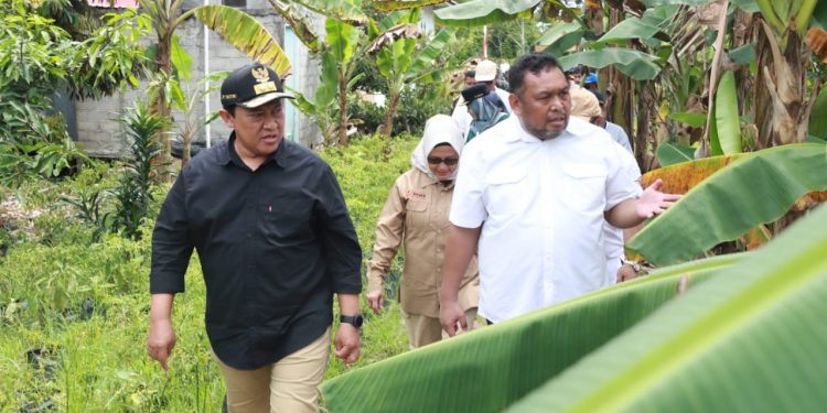 Wagub Kalteng Harapkan Program Upsus Optimalisasi Lahan Rawa Tingkatkan Kesejahteraan Petani di Kalteng