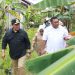 Wagub Kalteng Harapkan Program Upsus Optimalisasi Lahan Rawa Tingkatkan Kesejahteraan Petani di Kalteng