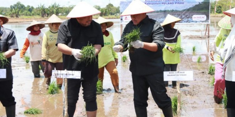 Dirjen Perkebunan Apresiasi Komitmen dan Tekad Gubernur Kalteng Wujudkan Ketahanan Pangan