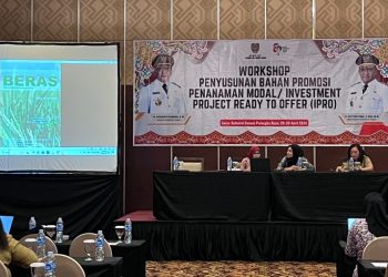 DPMPTSP Prov. Kalteng Gelar Workshop Penyusunan Bahan Promosi Penanaman Modal