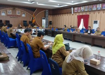 Inspektorat Daerah Prov. Kalteng Selenggarakan Rakor Penyusunan Rencana Aksi Tindak Lanjut SPI 2023