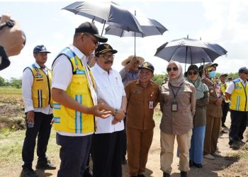 Anggota Wantimpres Soekarwo Tinjau Food Estate di Kecamatan Pandih Batu