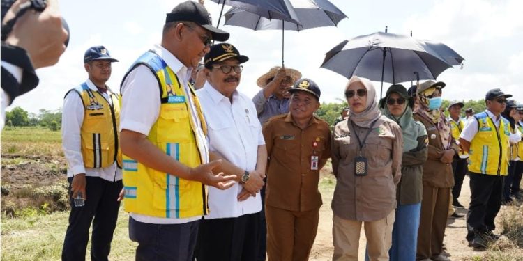 Anggota Wantimpres Soekarwo Tinjau Food Estate di Kecamatan Pandih Batu