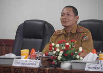 Pemprov. Kalteng Hadiri Rakor Pengendalian Inflasi Secara Virtual