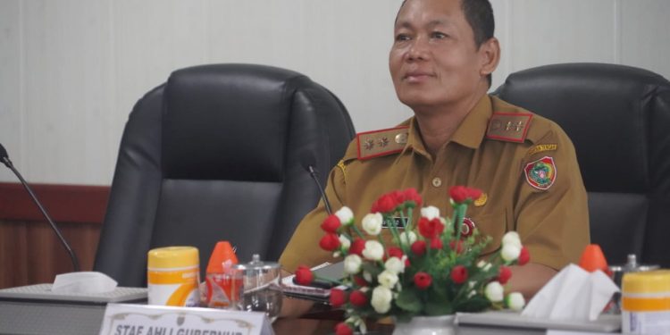Pemprov. Kalteng Hadiri Rakor Pengendalian Inflasi Secara Virtual