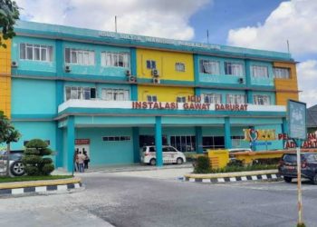 DPRD Kalteng Kunker ke RS Imanudin Pangkalan Bun
