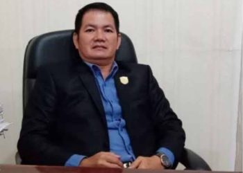 Legislator Usul Pemda Sediakan Mobil Operasional untuk Damang