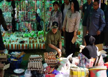 Pj Bupati Barsel Pastikan Ketersediaan Bahan Pokok dan Kestabilan Harga Sampai ke Pasar Desa