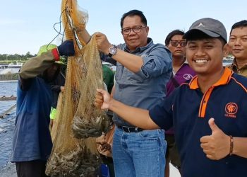 Shrimp Estate Berkah Kembali Hasilkan 4,8 Ton Udang Vaname