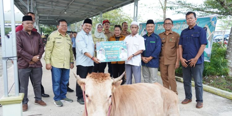 Sekda Nuryakin Serahkan Sapi Limousin dan Gratiskan 1.000 Paket Sembako di Murung Raya