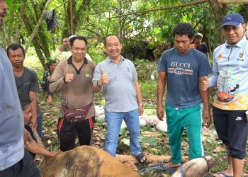 DLH Prov. Kalteng Selenggarakan Penyembelihan dan Pembagian Hewan Qurban