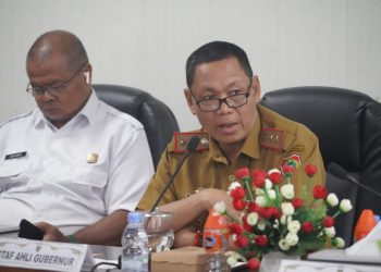 Pemprov Kalteng Hadiri Rakor Pengendalian Inflasi dan Penanggulangan Kejadian Luar Biasa Polio