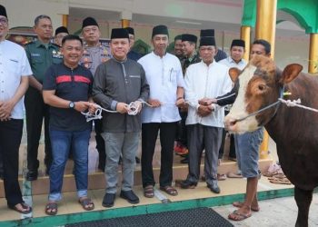Pemkab Barsel Salurkan 135 Ekor Sapi ke Masyarakat