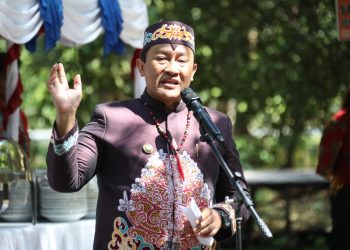Wagub Kalteng Hadiri Halalbihalal Syukuran Harjad ke-22 Kabupaten Katingan
