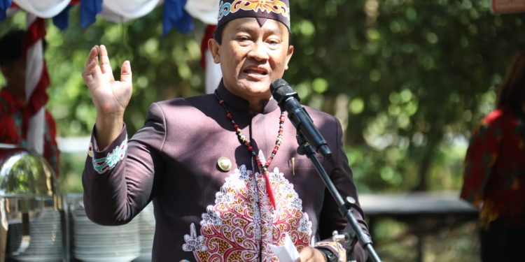 Wagub Kalteng Hadiri Halalbihalal Syukuran Harjad ke-22 Kabupaten Katingan