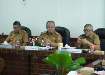 Kaban Kesbangpol Sampaikan Kesiapan dalam Rapat DESK Pilkada Kalteng