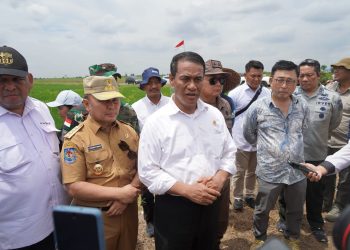 Mentan dan Gubernur Kalteng Optimis Lumbung Pangan Nasional Terwujud