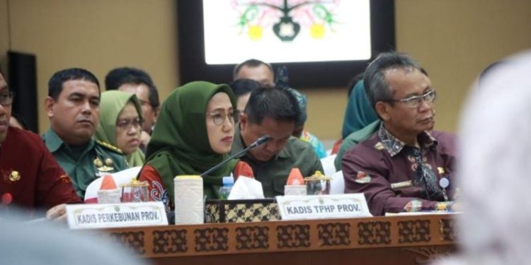 Kepala Dinas TPHP Hadiri Rapat Kerja Pemantapan Optimasi Lahan Food Estate